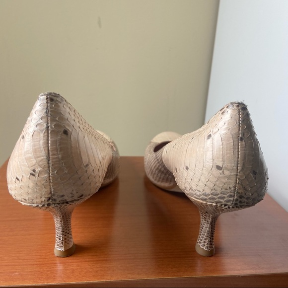 MaxStudio.com Snakeskin Kitten Heeled Shoe - Picture 9 of 9